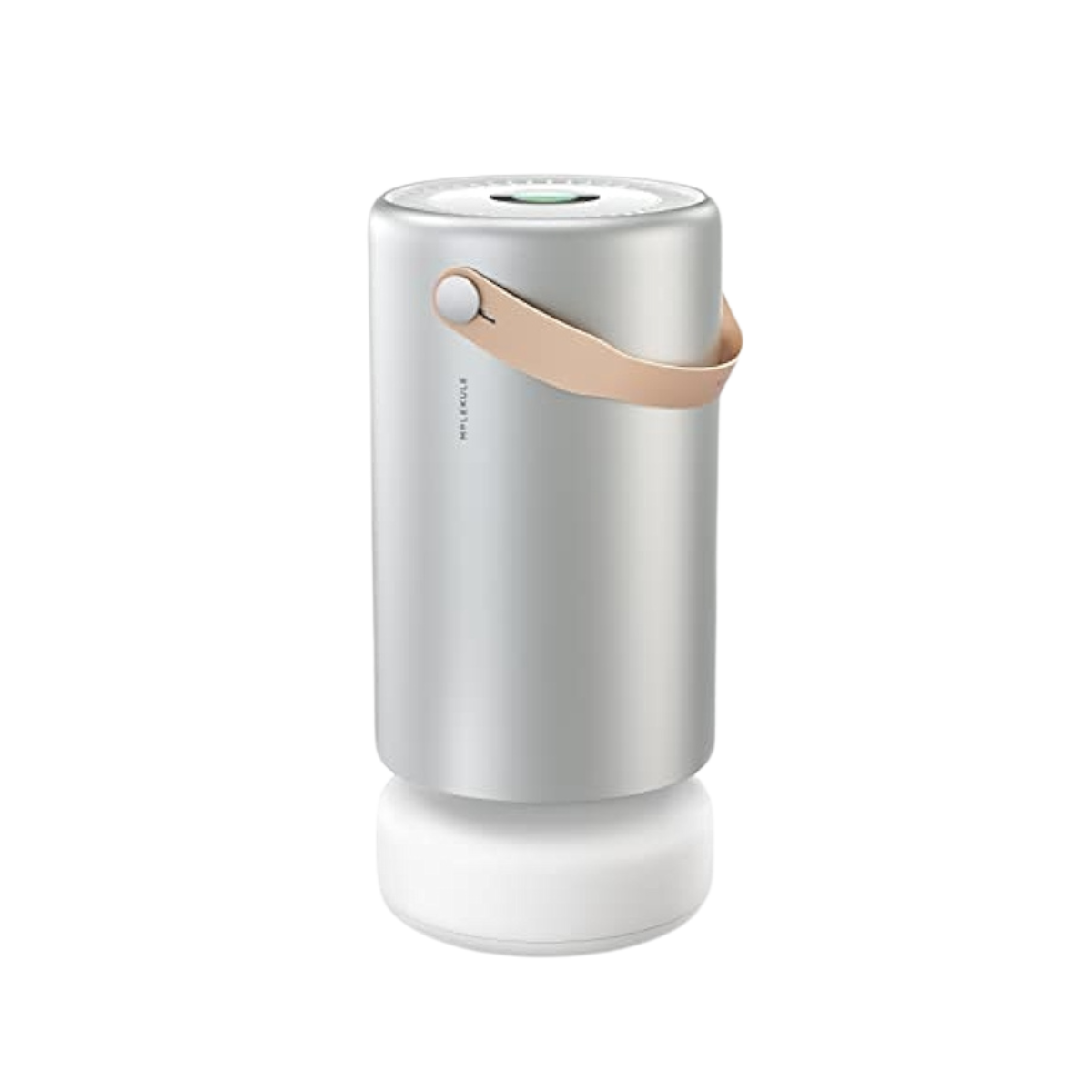 Large Room Air Purifier