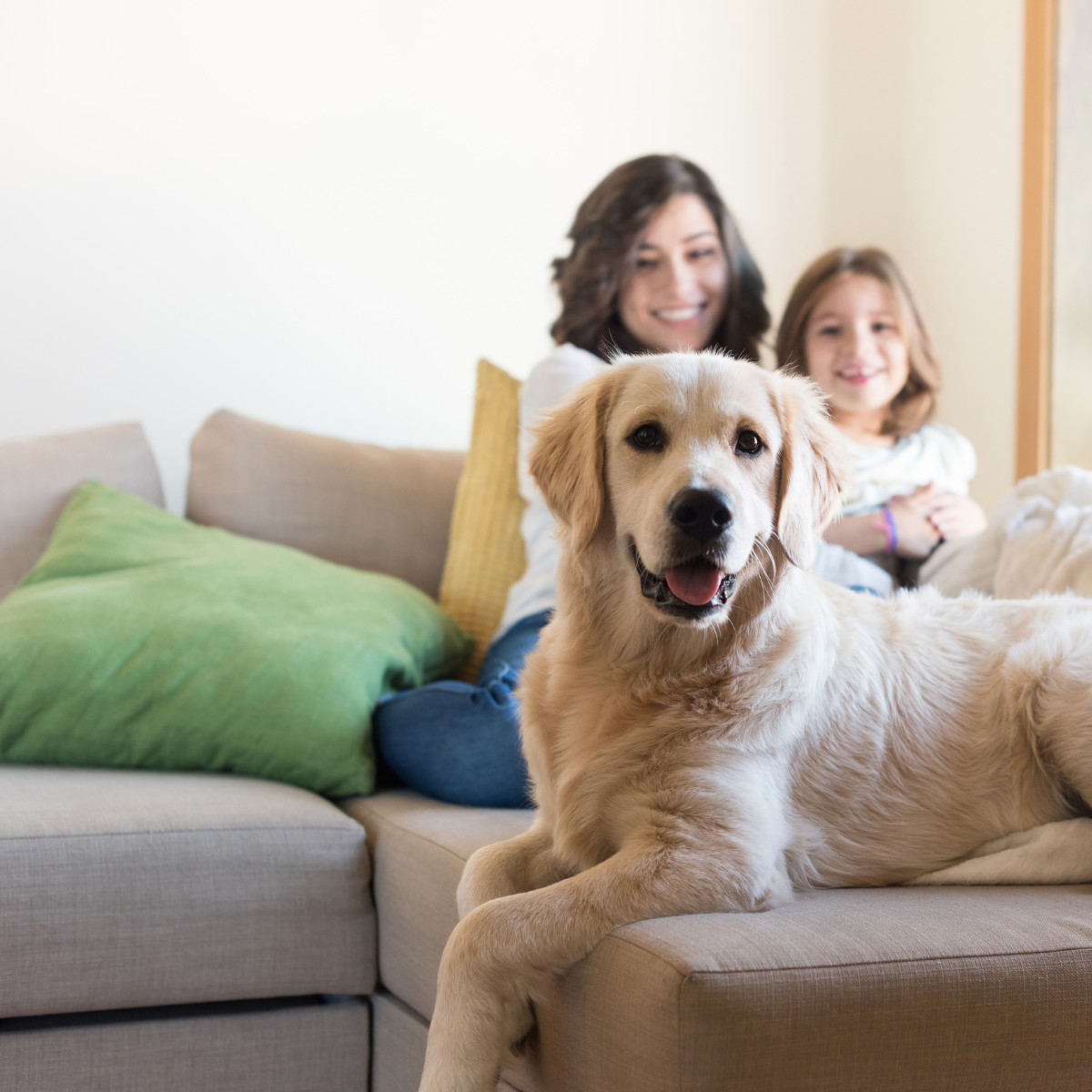 fun & functional house cleaning technology